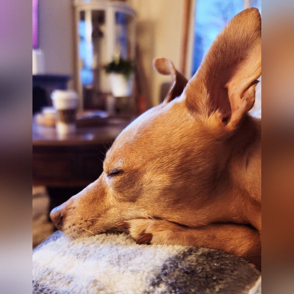 Hello! Thanks for looking! - Picture 4 of 4